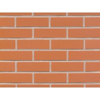 Клинкерная плитка Feldhaus Klinker R220NF terracotta liso, NF9 240x71x9 мм