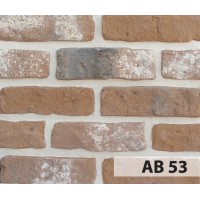 Anticbrick AB53 21х5