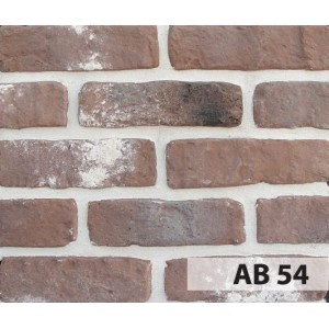 Anticbrick AB54 21x6