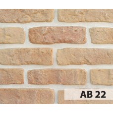 Anticbrick AB22 21x6