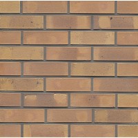 Клинкерная плитка MUHR NF 08 Lachsrot Kohle glatt, NF22 240x22x71