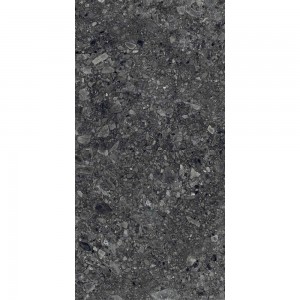 Outdoor Terrazo Nero 2 cm 60x120