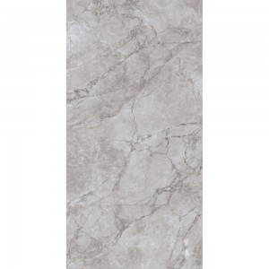 ARCTIC GREY CR4012-A 120x60