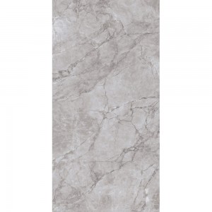 ARCTIC GREY LAPPATO CL4005-A 120x60