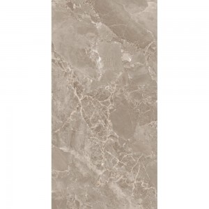 MODENA BROWN FP1031-A 120x60