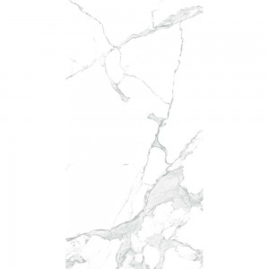 PARADISE STATUARIO CR4003-A 120x60