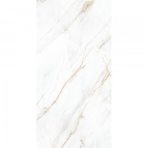 SELVA GOLD CP4004-A 120x60