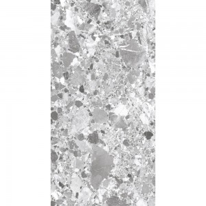 TERRAGONA SILVER SL1004-A 120x60
