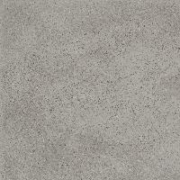 TREVISO GRIS EX-204 60x60