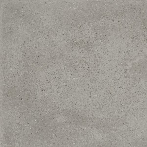 TREVISO GRIS EX-204 60x60