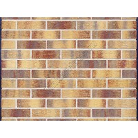 Клинкерная плитка King Klinker HF15 Rainbow brick, RF 250x65x10 мм