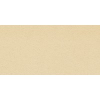 Техническая напольная плитка Stroeher STALOTEC 120 beige, 240x115x10 мм