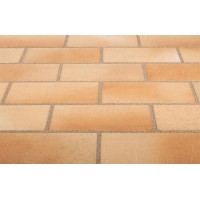 Тротуарная клинкерная плитка Stroeher 123 beige-bunt, 240x115x18 мм