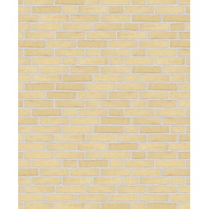 Клинкерный состаренный кирпич Randers Tegl Classica RT 207, ECO-DNF 228X50X54 мм Клинкерный состаренный кирпич Randers Tegl Classica RT 207, ECO-DNF 228X50X54 мм