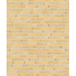 Клинкерный состаренный кирпич Randers Tegl  Classica RT 410, DNF 228X108X54 мм