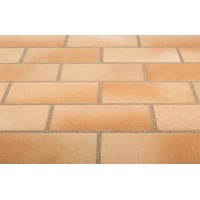 Тротуарная клинкерная плитка Stroeher 123 beige-bunt, 240х115х18 мм