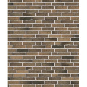 Клинкерный состаренный кирпич Randers Tegl  Unika RT 517, ECO-DNF 228X50X54 мм